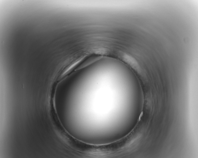 X0000089450538200706221249