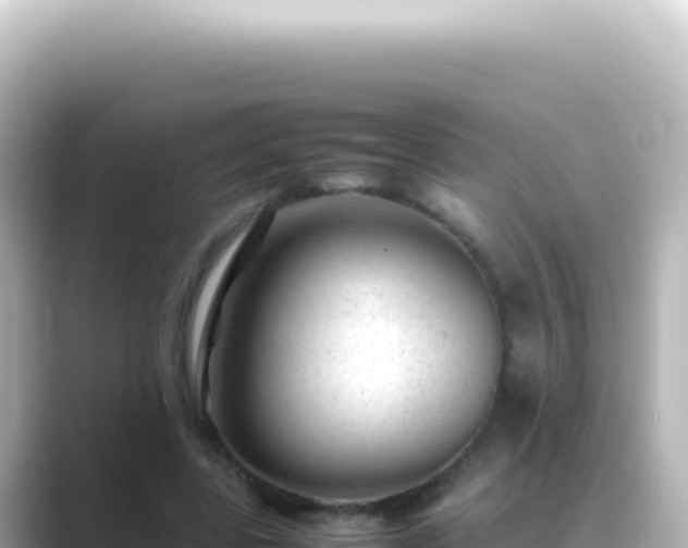 X0000089450539200706221249
