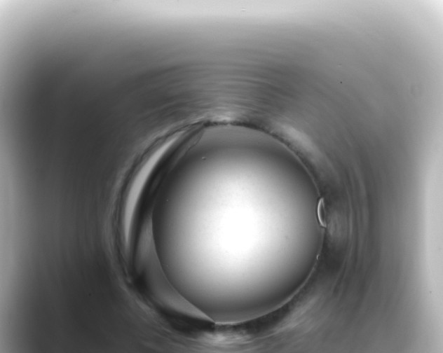 X0000089450540200706221249