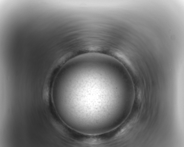 X0000089450542200706221249