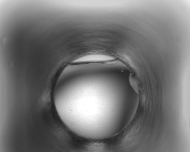 X0000089450543200706221249