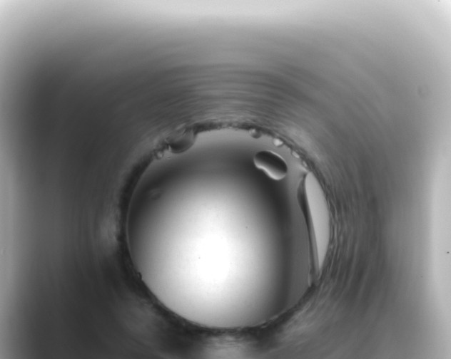 X0000089450544200706221249