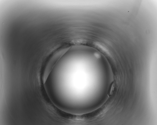 X0000089450546200706221249
