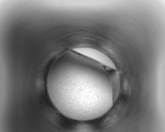 X0000089450547200706221249