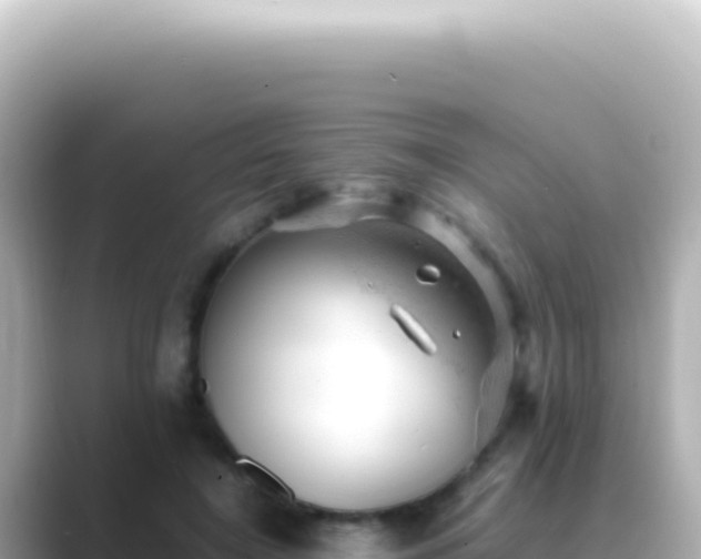 X0000089450548200706221249
