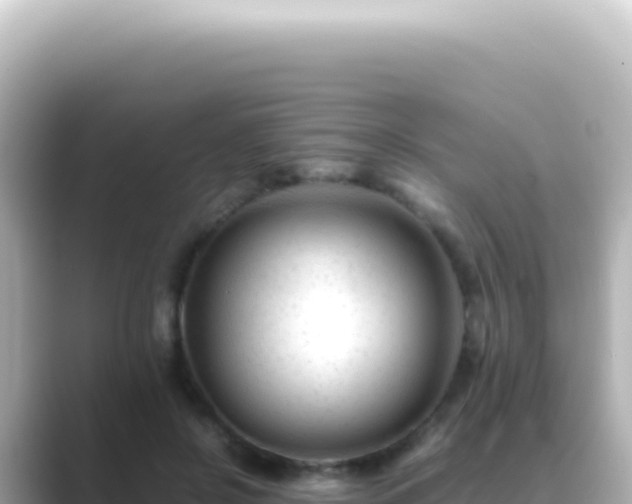 X0000089450550200706221249