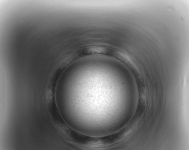 X0000089450551200706221249