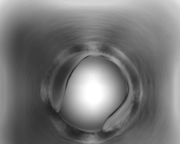 X0000089450552200706221249