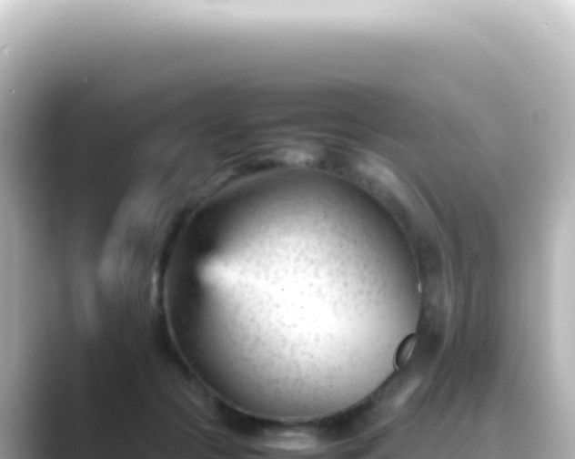 X0000089450553200706221249