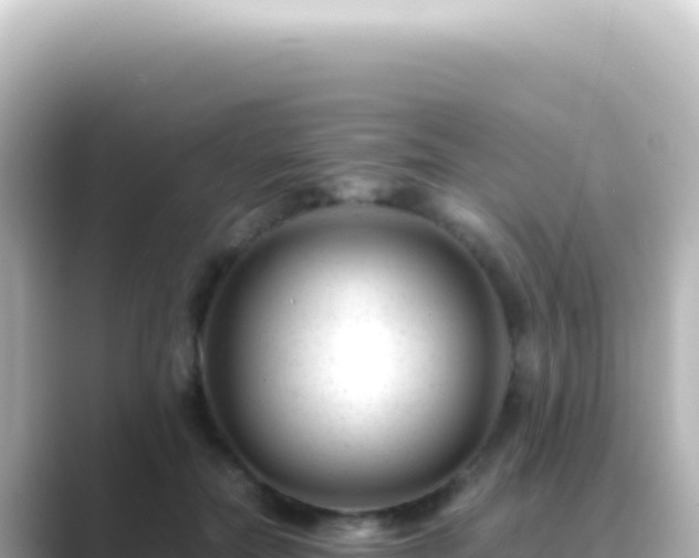 X0000089450554200706221249