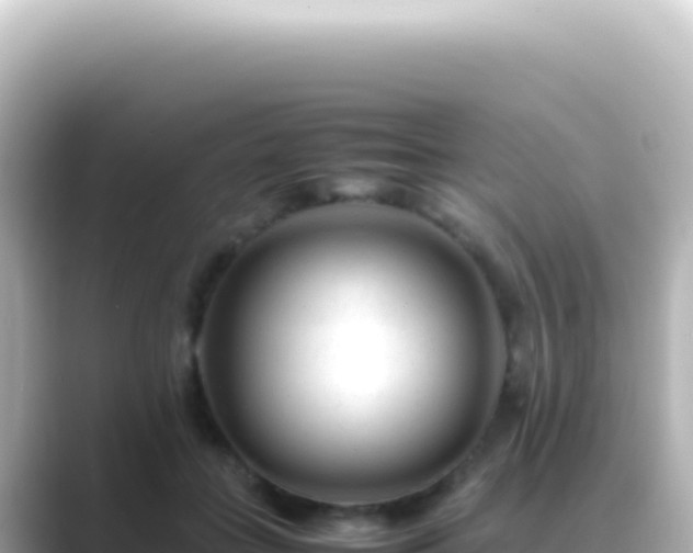 X0000089450555200706221249