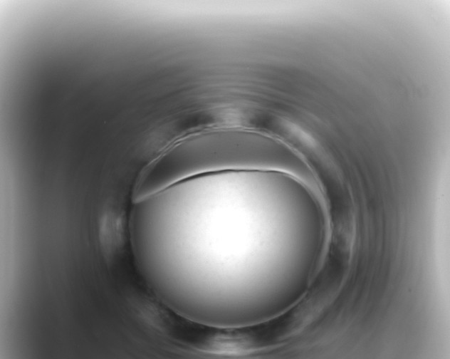 X0000089450556200706221249