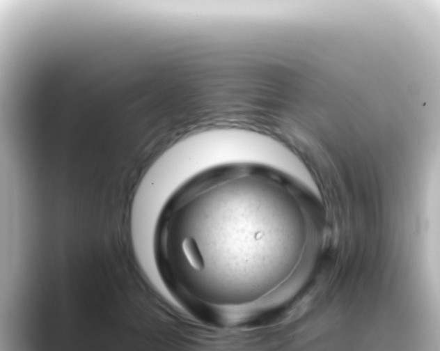 X0000089450558200706221249