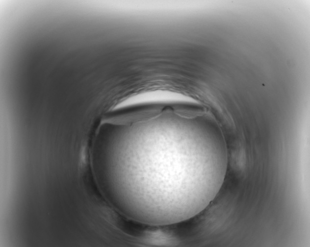 X0000089450561200706221249