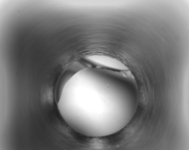 X0000089450562200706221249