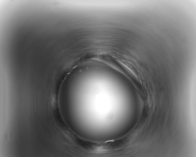 X0000089450564200706221249