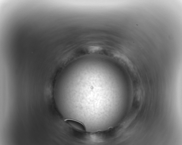 X0000089450565200706221249