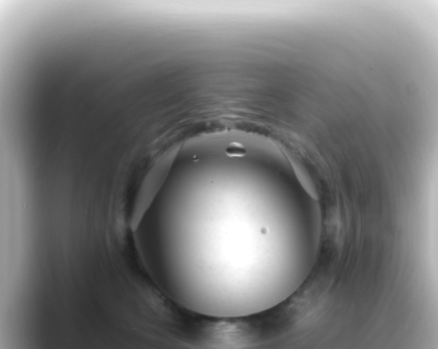 X0000089450566200706221249