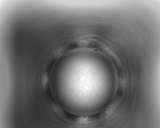 X0000089450574200706221249