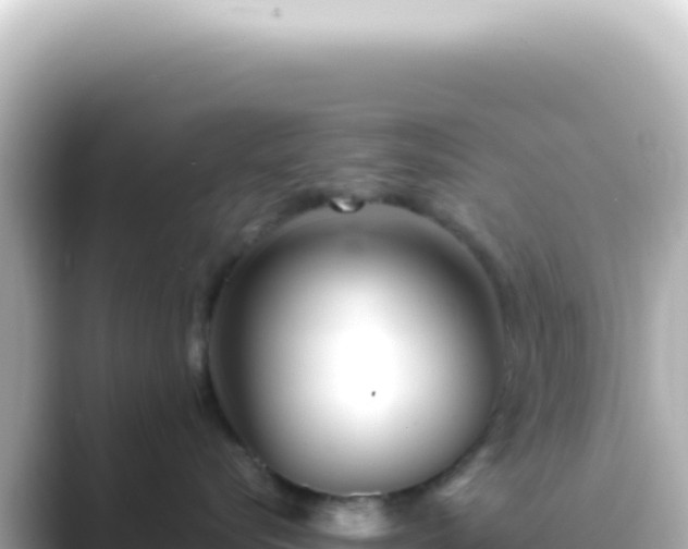 X0000089450576200706221249