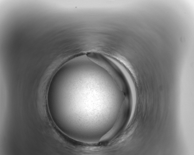 X0000089450577200706221249