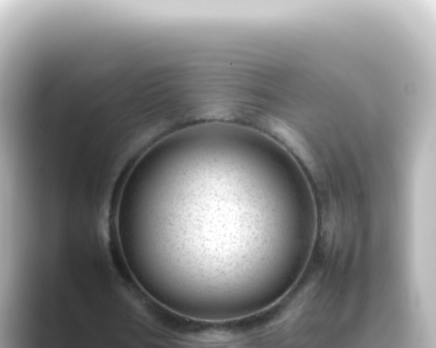 X0000089450578200706221249