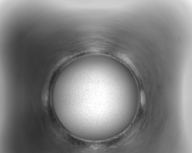 X0000089450579200706221249