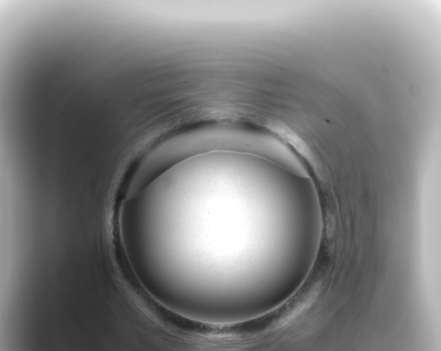 X0000089450581200706221249