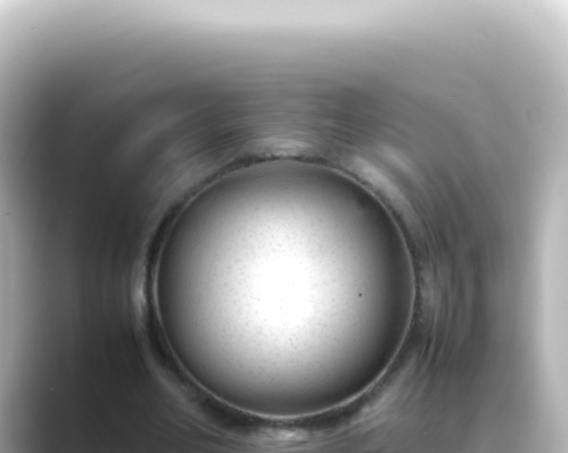 X0000089450582200706221249