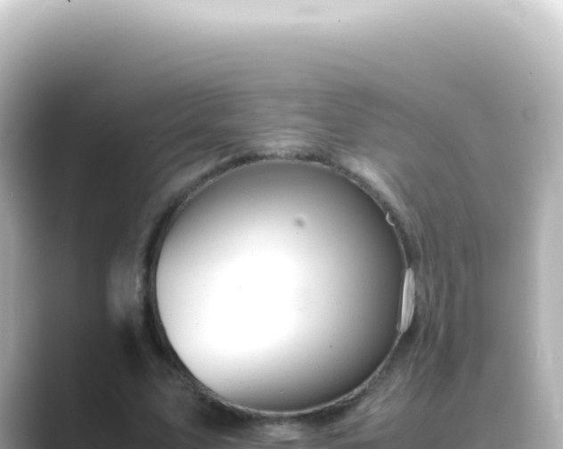 X0000089450583200706221248