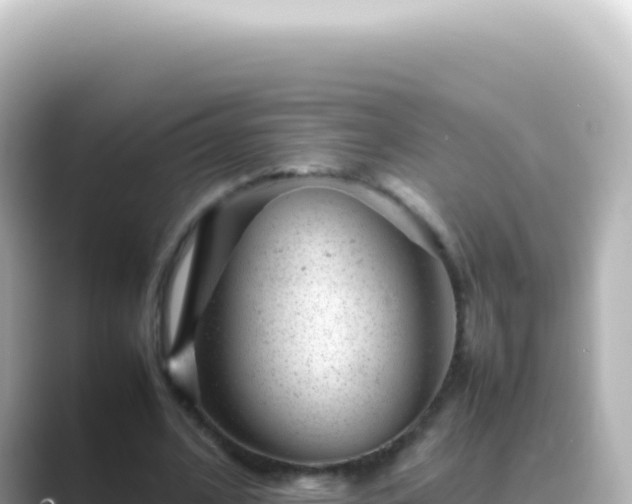 X0000089450584200706221248
