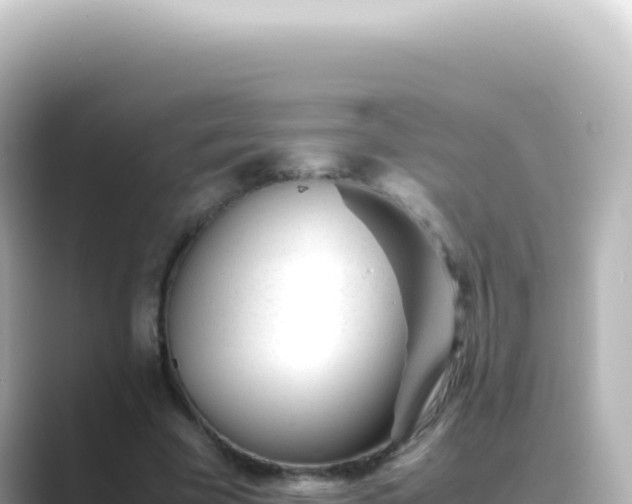 X0000089450585200706221248