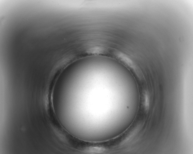 X0000089450586200706221248