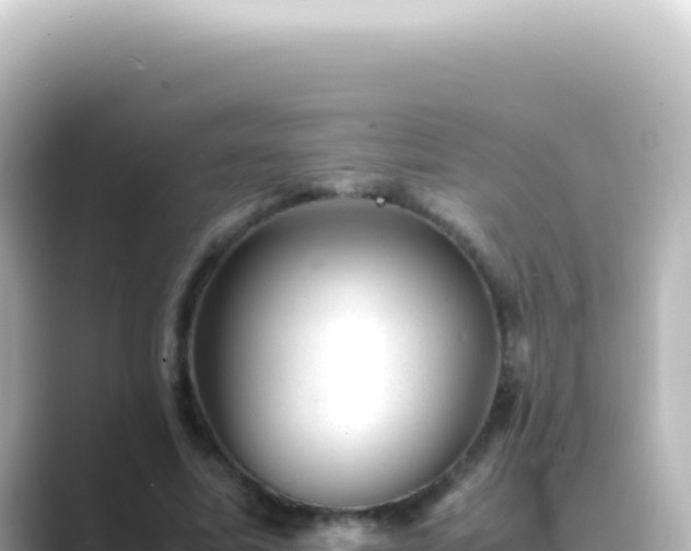X0000089450587200706221248