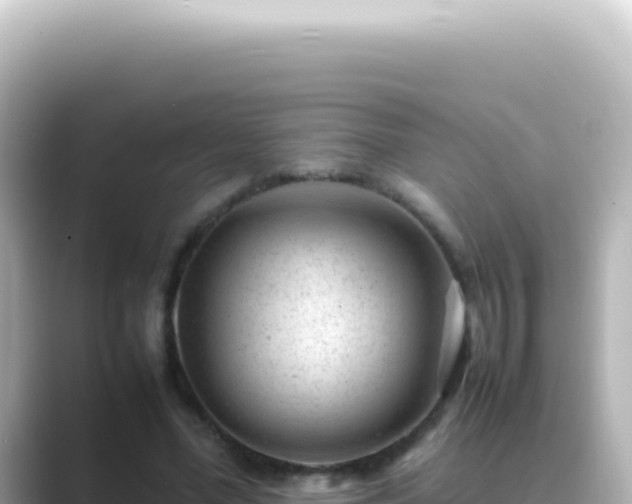 X0000089450588200706221248