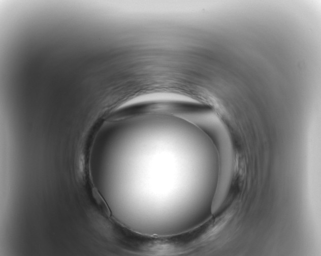 X0000089450589200706221248
