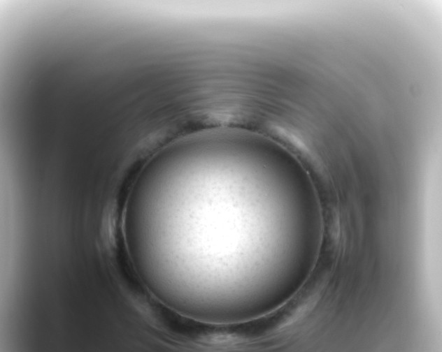 X0000089450590200706221248