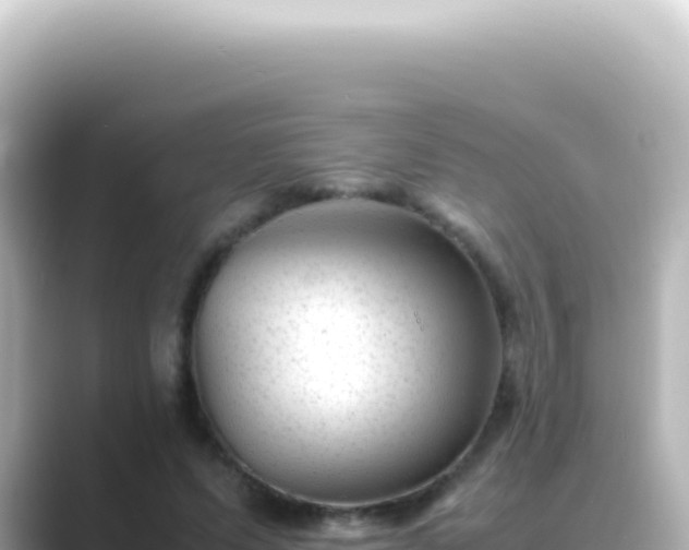 X0000089450591200706221248