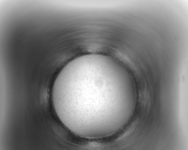 X0000089450592200706221248