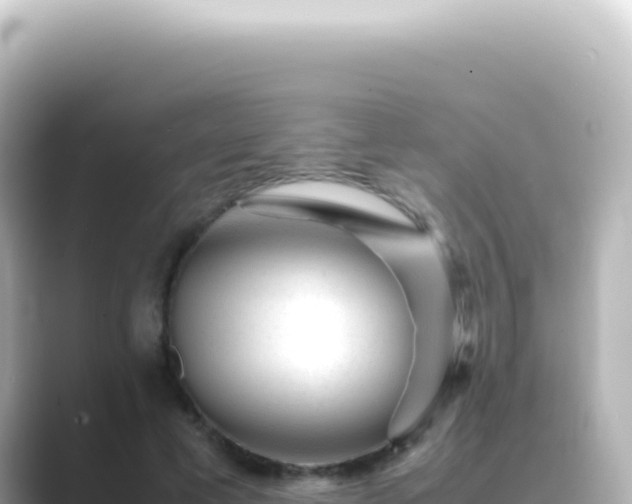 X0000089450593200706221248