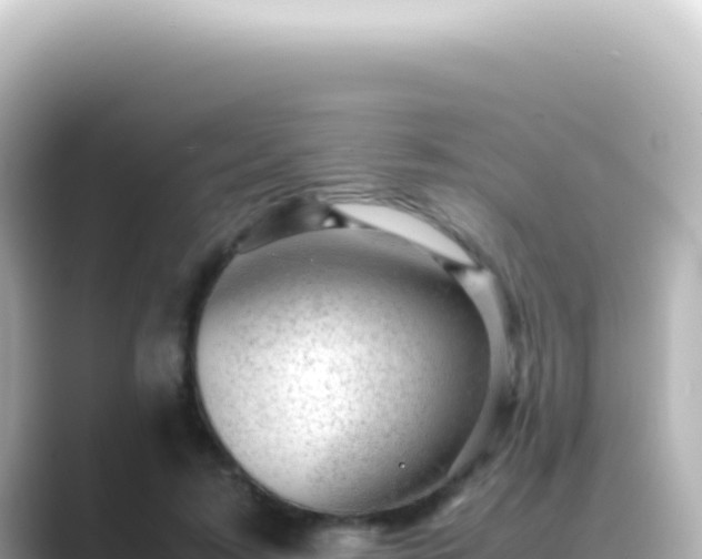 X0000089450595200706221248