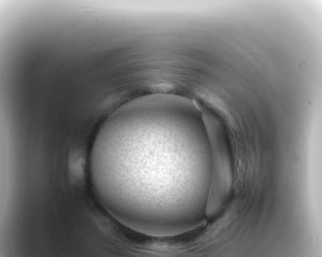 X0000089450596200706221248