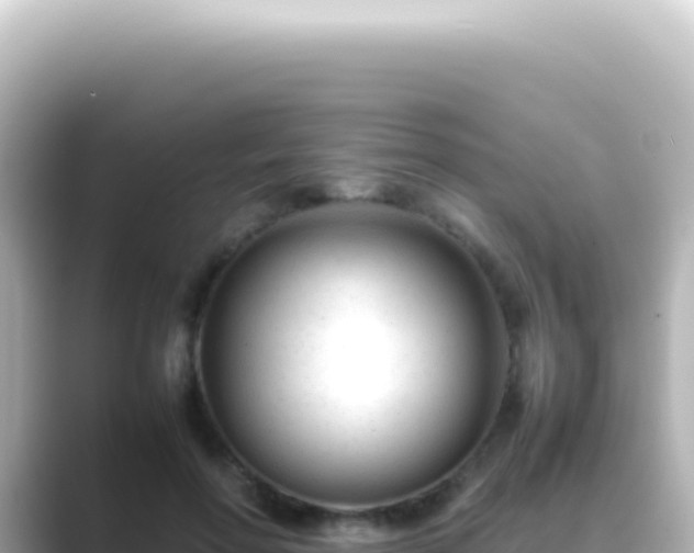 X0000089450598200706221248