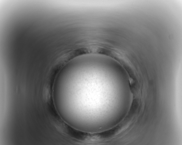 X0000089450599200706221248