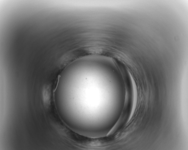 X0000089450600200706221248