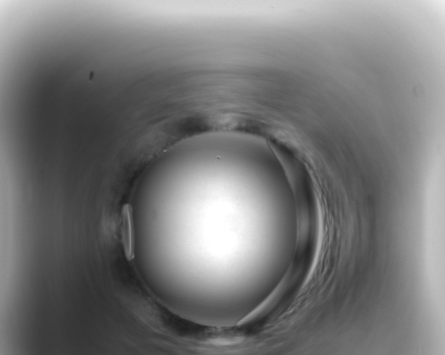 X0000089450601200706221248