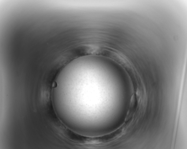 X0000089450602200706221248