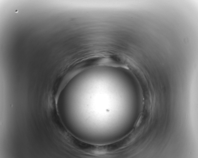 X0000089450604200706221248