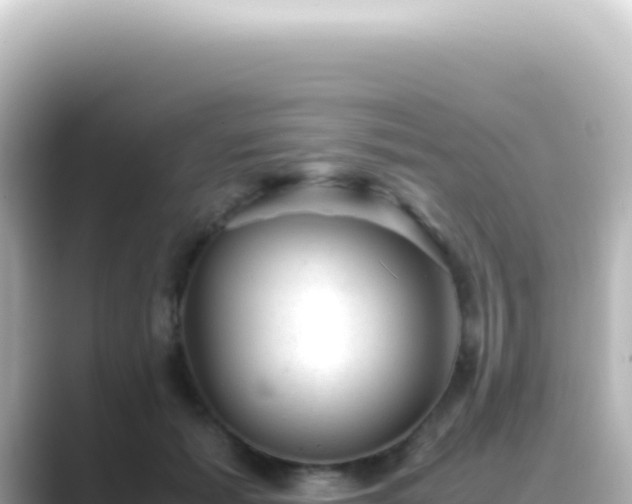 X0000089450605200706221248