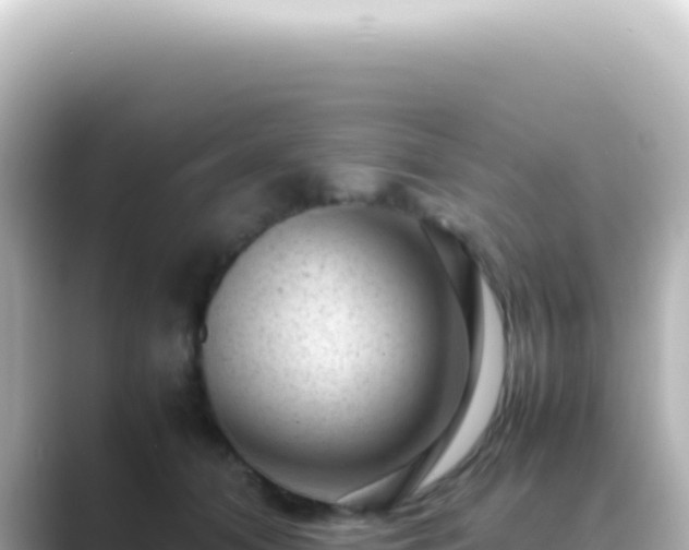 X0000089450608200706221248